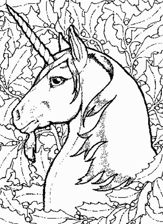 564x772 20 Beautiful Unicorn Coloring Pages For Adults