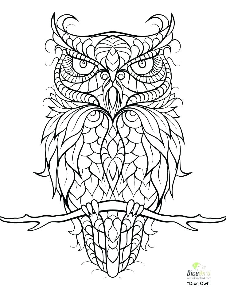 736x952 Unicorn Color Page Educational Coloring Pages Unicorn Coloring