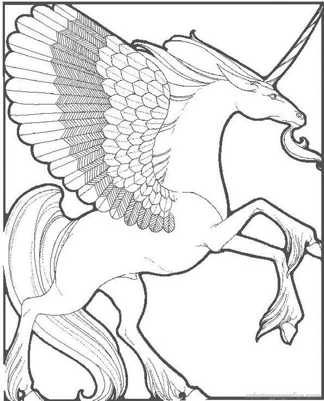 646x800 Detailed Unicorn