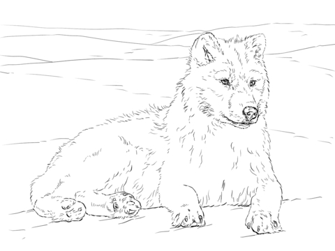 480x360 Realistic Wolf Coloring Pages Wolf Coloring Pages Free Coloring