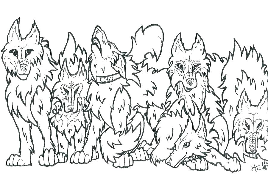 900x609 Wolf Coloring Book And Coloring Page Wolf Coloring Pages Of Wolves