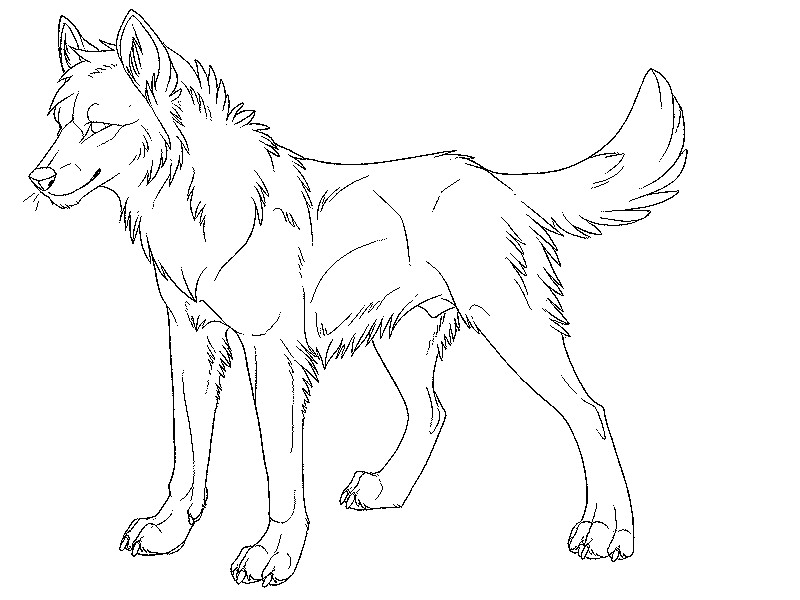 800x600 Wolf Coloring Pages Realistic Collection