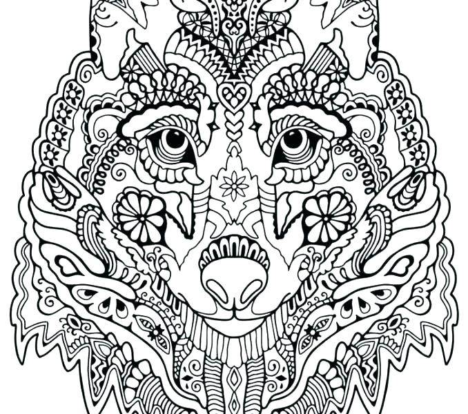 678x600 Excellent Wolf Coloring Page Print Pages Wolves To Angry S Baby