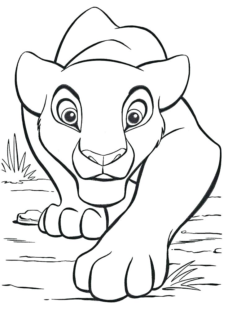 736x1003 Coloring Pages Lions Of Lion Draw A For Kids King Free Detroit