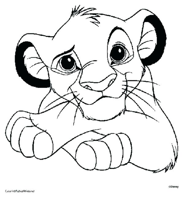 600x646 Lions Coloring Pages Pictures Baby Lion King Coloring Pages Free