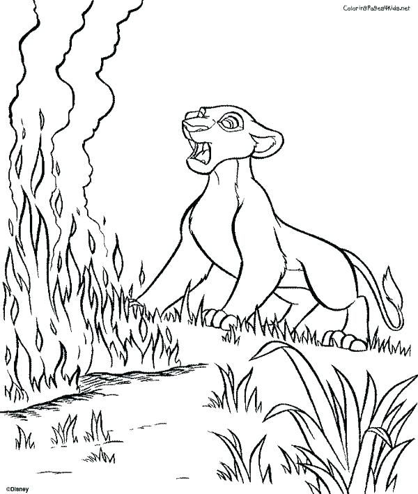 600x709 Coloring Pages Lions Coloring Pages Of Lions Luxury Coloring Pages