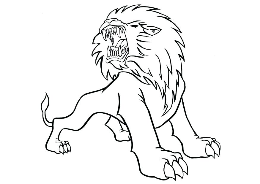 875x620 Lions Coloring Pictures Roaring Lion Coloring Pages Detroit Lions