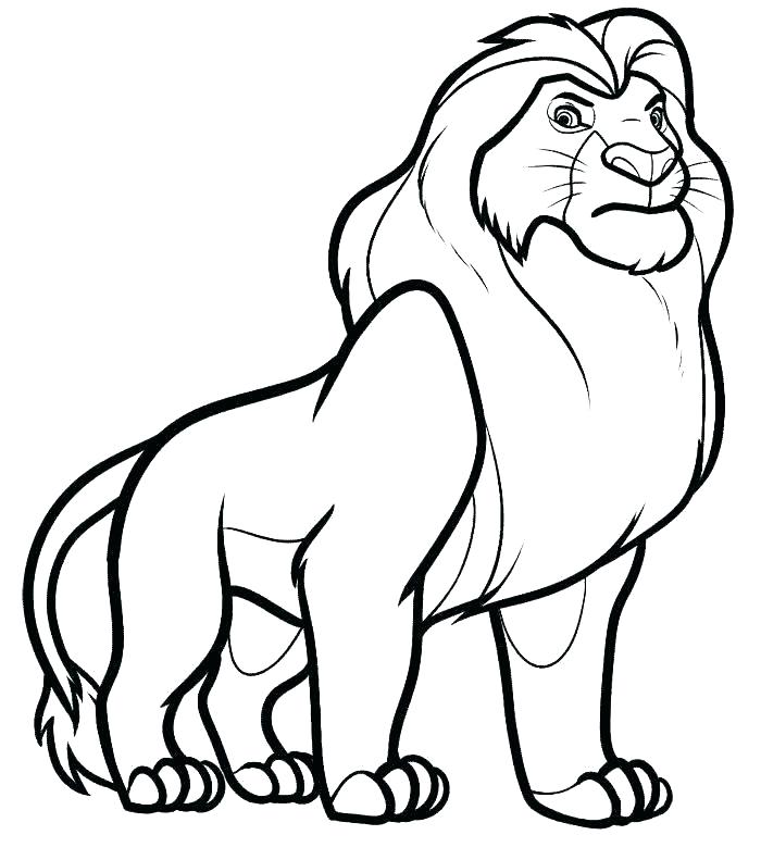 700x791 Coloring Pages Of Lions Lovely Coloring Pages Lions Fee Tiger