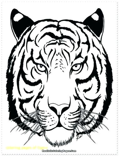 380x500 Coloring Pages Of Tigers Medium Size Of Tiger Coloring Pages