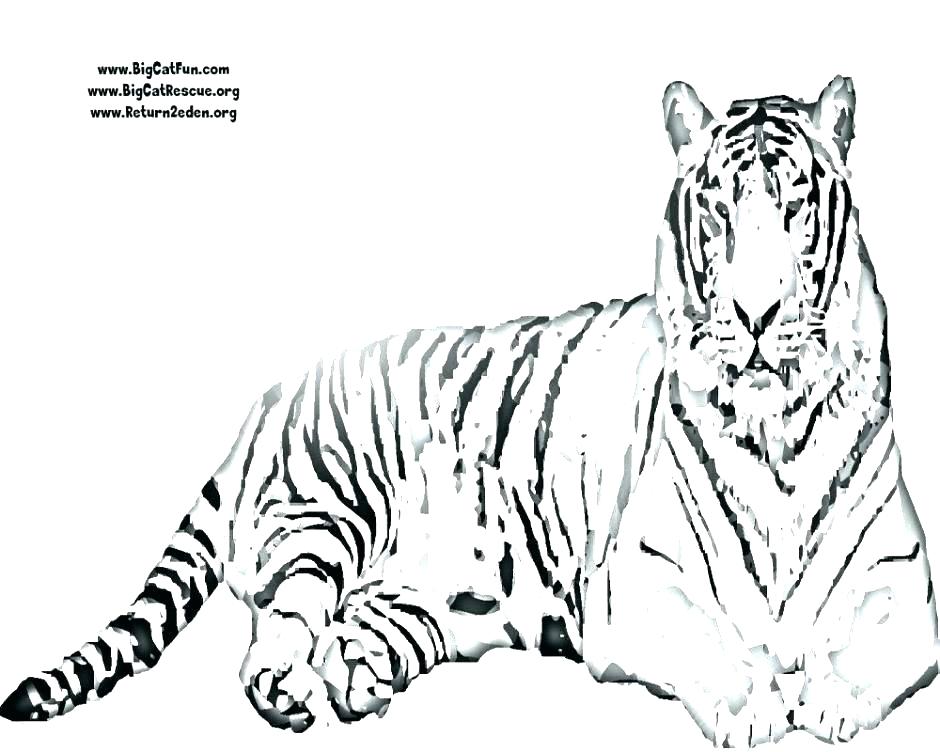 940x752 Tiger Color Pages Shippa.co