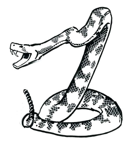 500x554 Rattlesnake Color Rattlesnake Rattlesnake Coloring Page