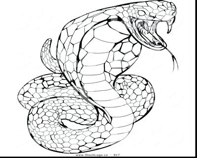 400x322 Rattlesnake Coloring Page Coloring Trend Thumbnail Size Eastern
