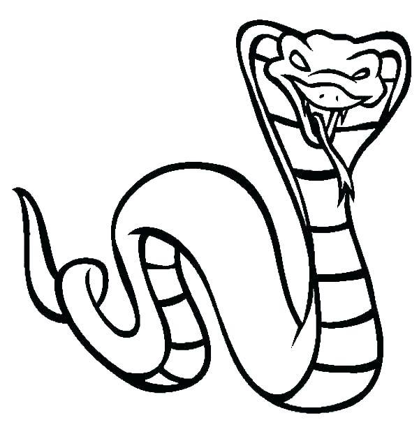 600x612 Rattlesnake Coloring Page Printable Snake Coloring Pages Snake