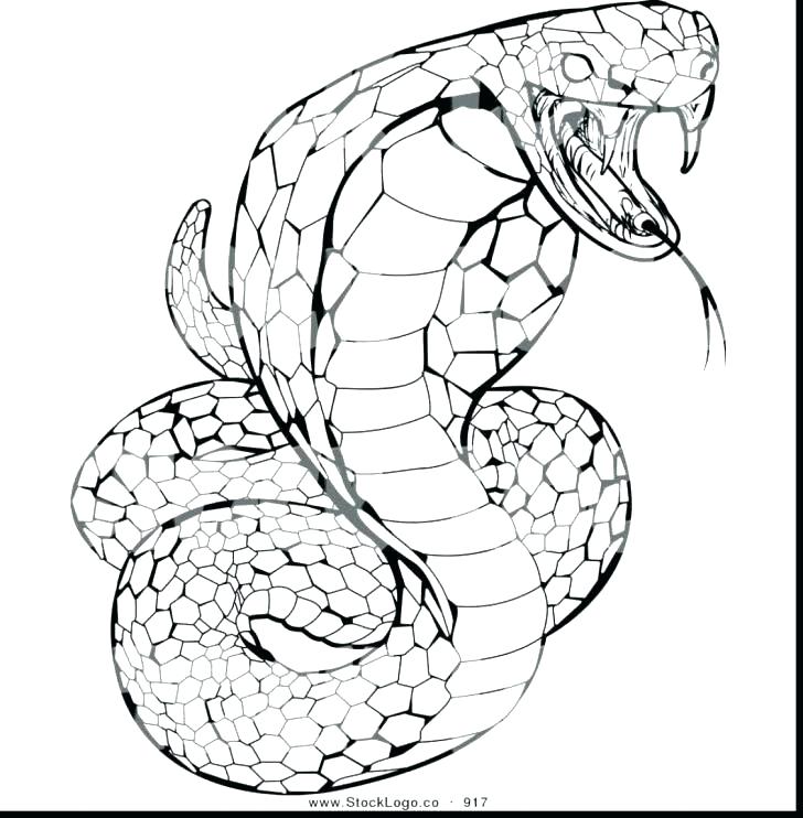 728x742 Rattlesnake Coloring Page Rattlesnake Coloring Page Rattlesnake