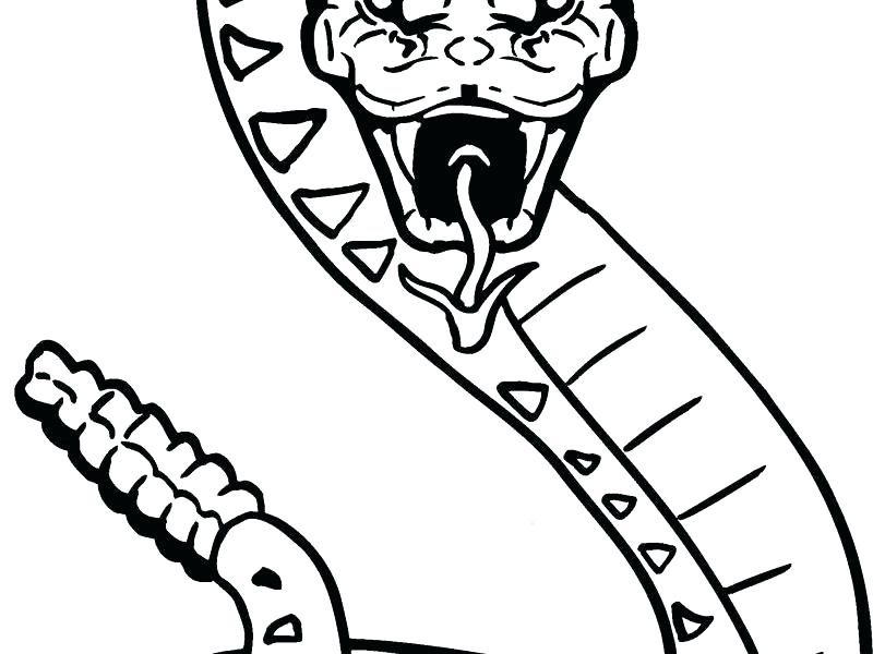 800x600 Rattlesnake Coloring Page Rattlesnake Coloring Pages Download