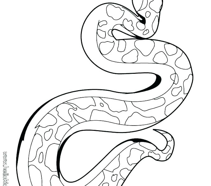 678x600 Rattlesnake Coloring Page Rattlesnake Coloring Pages Rattlesnake