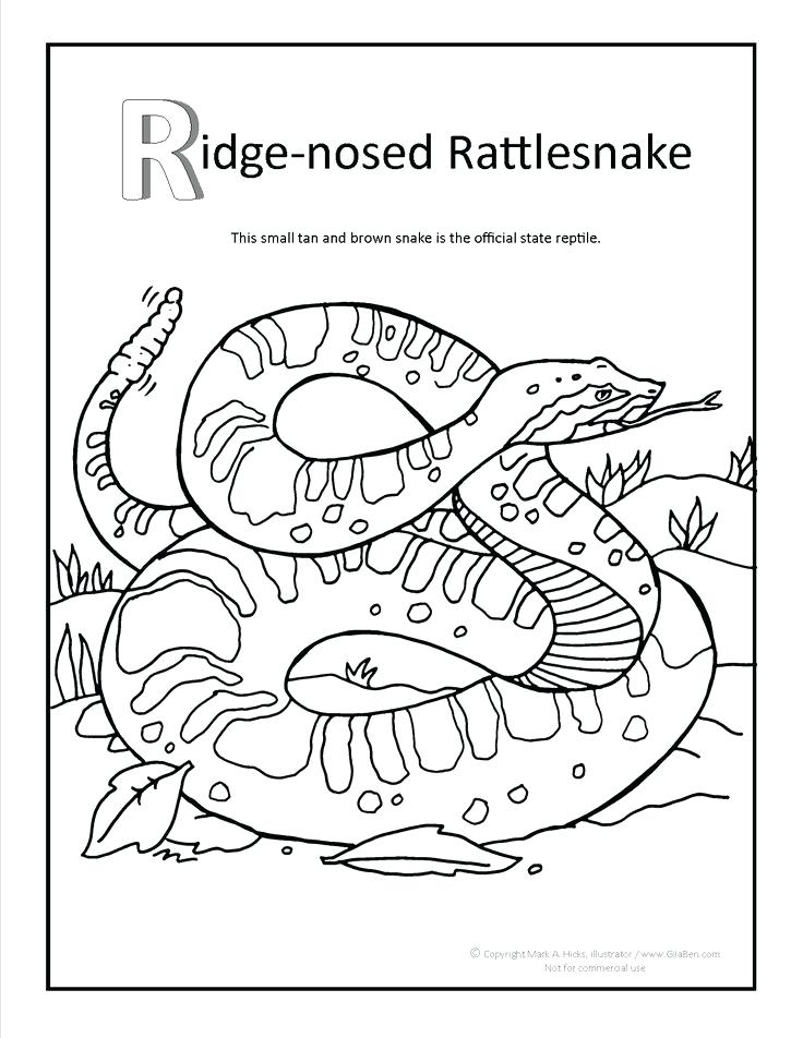 736x952 Rattlesnake Coloring Pages Ridge Nosed Rattlesnake Coloring Page