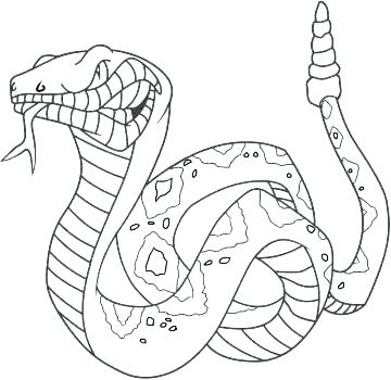 360x350 Anaconda Coloring Pages