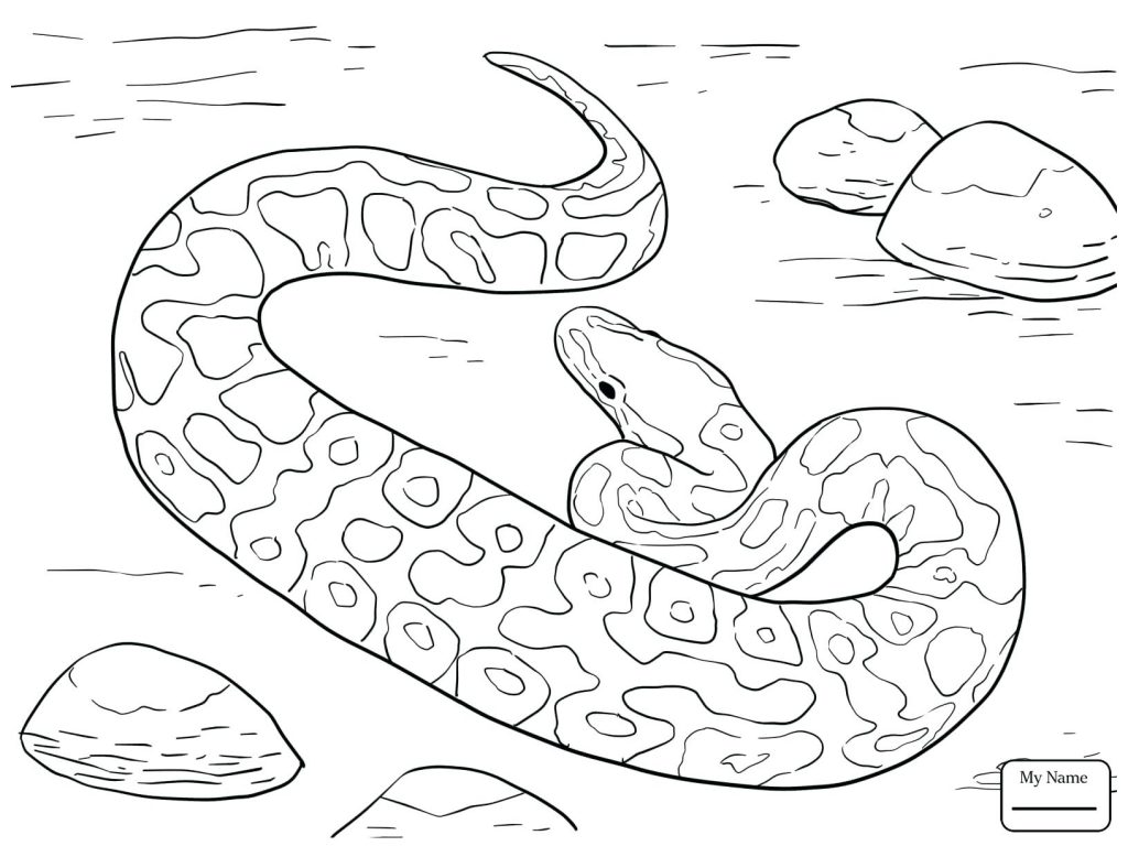 1024x768 Coloring Page ~ Rattlesnake Coloring Page Pages Realistic Snakes