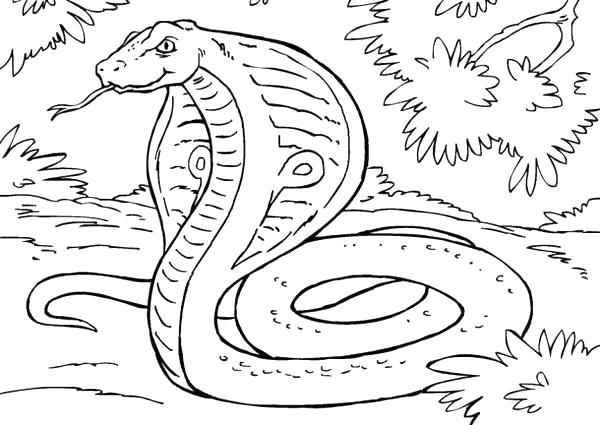 600x425 Coloring Pages Snake Fresh Snake Coloring Pages To Print Image 2
