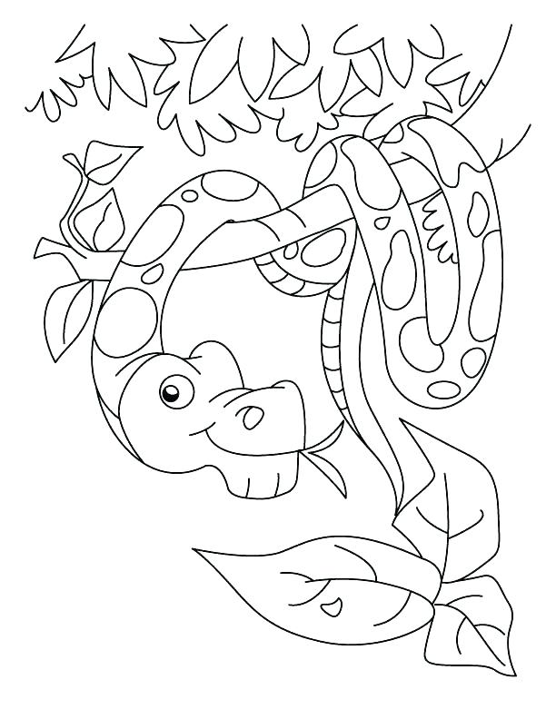 612x792 Coloring Pages Snakes Coloring Pages Snake Snake Coloring Page