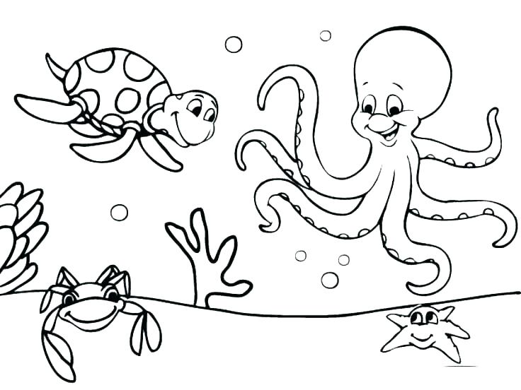736x552 Occupations Coloring Pages Different Coloring Pages Ocean Coloring