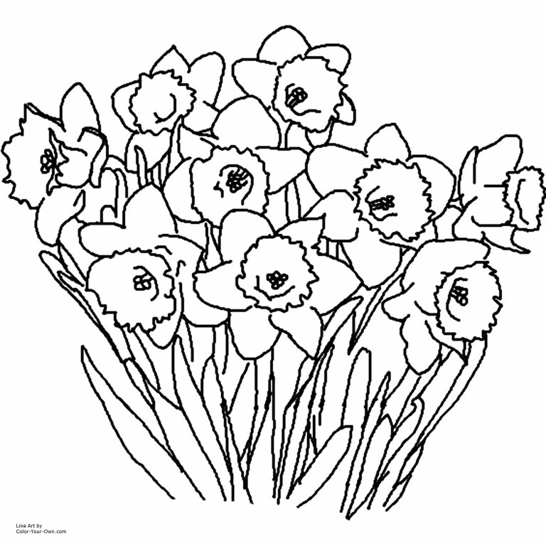 768x768 Types Of Flowers Coloring Pages Copy Different Fresh Printable