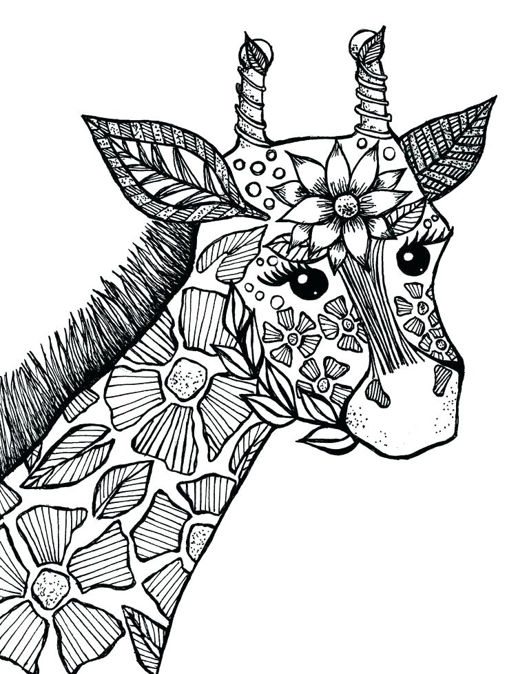 736x977 Difficult Animal Coloring Pages For Adults Download Animal
