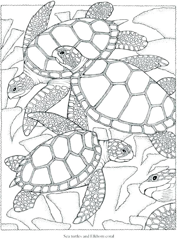 600x806 Hard Christmas Coloring Pages Hard Coloring Pages Challenging