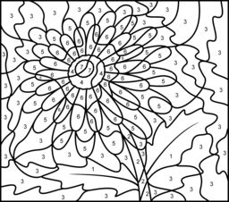 256x226 163 Best Art Adult Color By Number Images On Color By