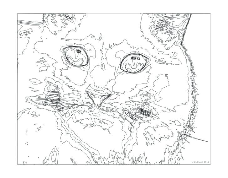 728x567 Adult Color By Number Pages Also Cat Coloring Pages For Teenagers