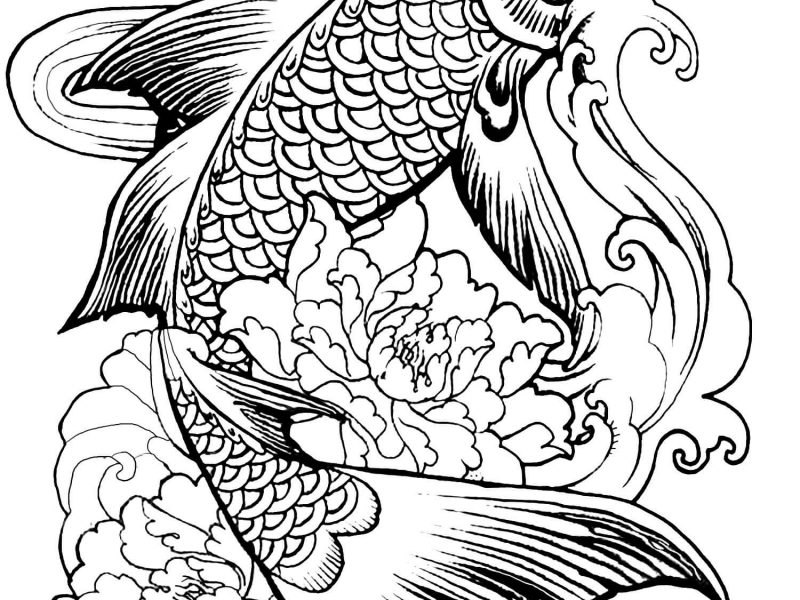 800x600 Coloring Pages Animals Coloring Pages For Adults Difficult Animals