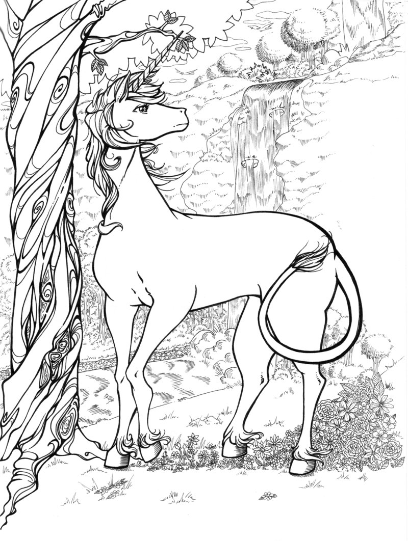 800x1062 Hard Coloring Pages For Adults