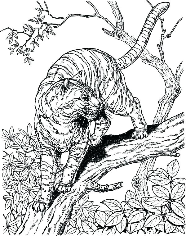 600x760 Coloring Page For Adults Artistic Hard Extreme Pages Printable