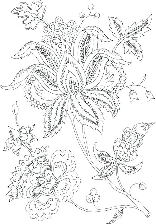 501x720 Luxury Flower Coloring Pages Pdf For Flowers Coloring Pages Fun