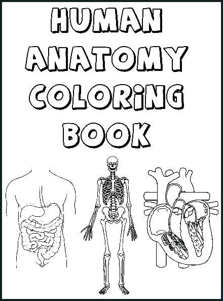 440x594 Digestive System Coloring Digestive System Coloring Sheet