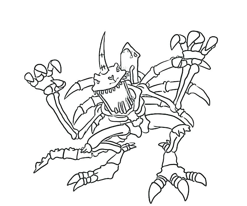800x667 By For Coloring By For Coloring Pages Digimon Frontier Coloring