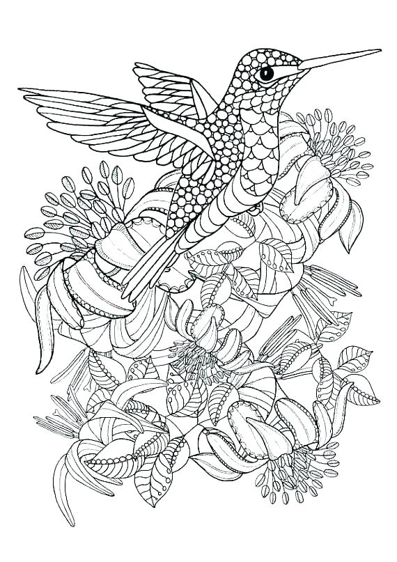 570x807 Digital Coloring Pages Downloadable Coloring Pages Fresh