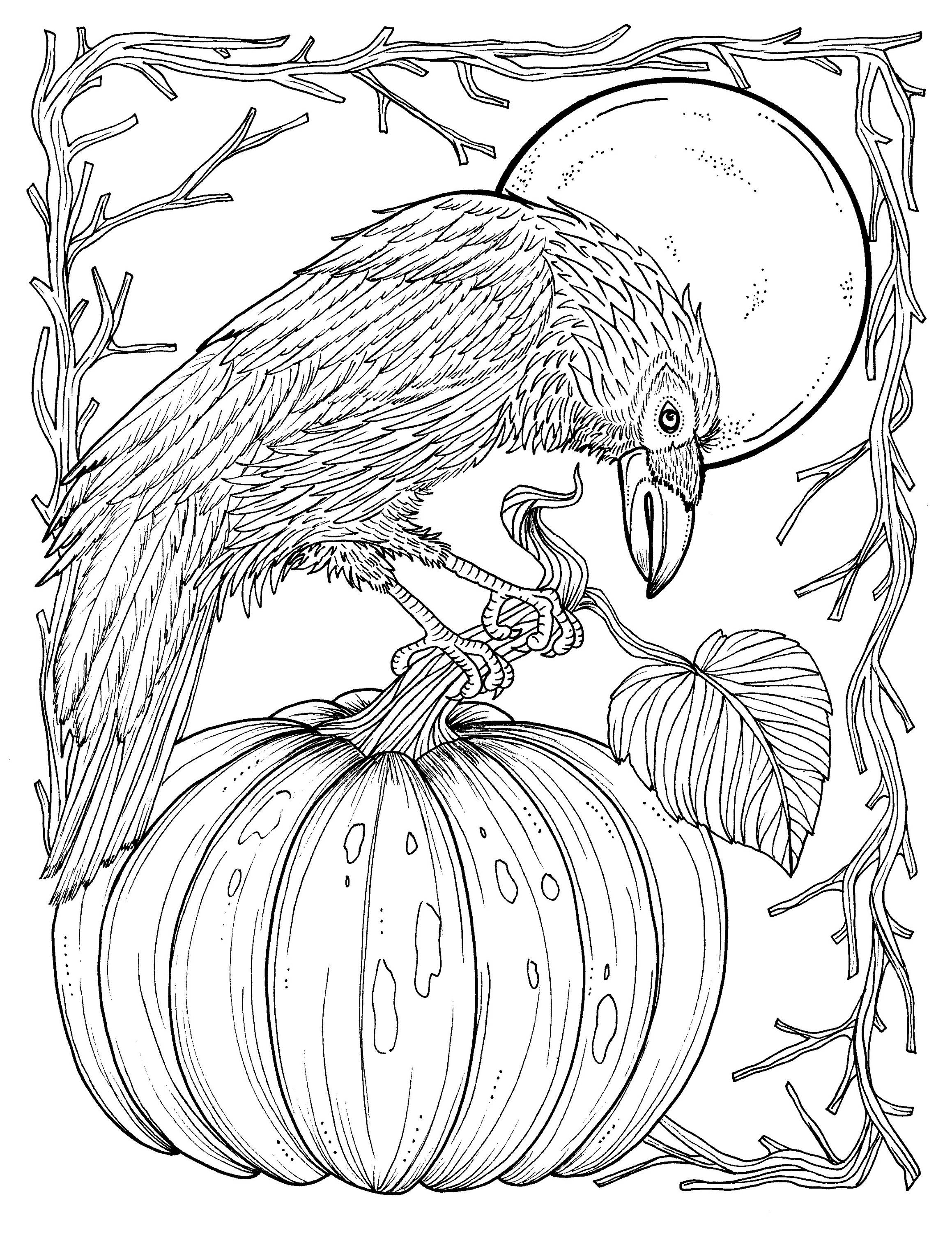 2318x3000 Fall Crow Digital Coloring Page Thanksgiving Harvest Adult
