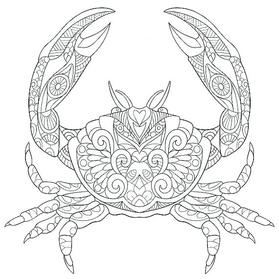 570x570 Camera Coloring Page Digital Coloring Pages Ocean Coloring Pages