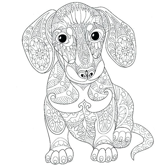 570x570 Digital Coloring Pages Chicks Coloring Book By Digital Files Only