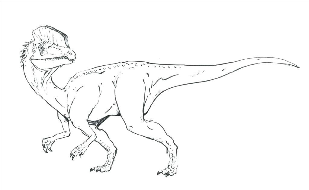 1023x631 Dilophosaurus Coloring Page Park Coloring Page Park Coloring Book
