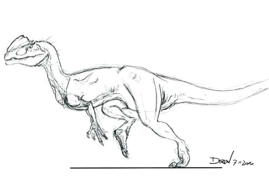 879x635 Dilophosaurus Coloring Page Park Coloring Pages Park Coloring Page