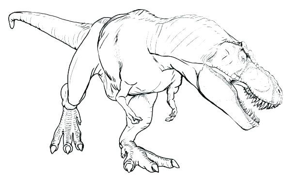 615x392 Jurassic Park Coloring Page Colouring Pages Park Coloring Page