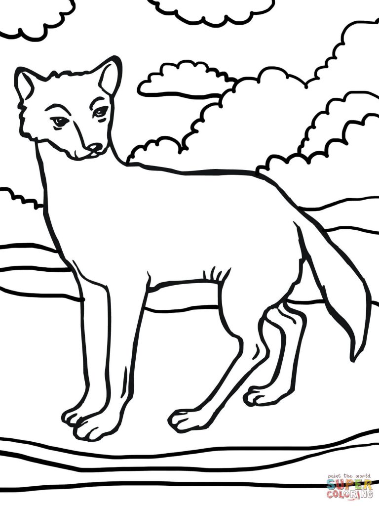 768x1024 Free Download Dingo Dog Coloring Page