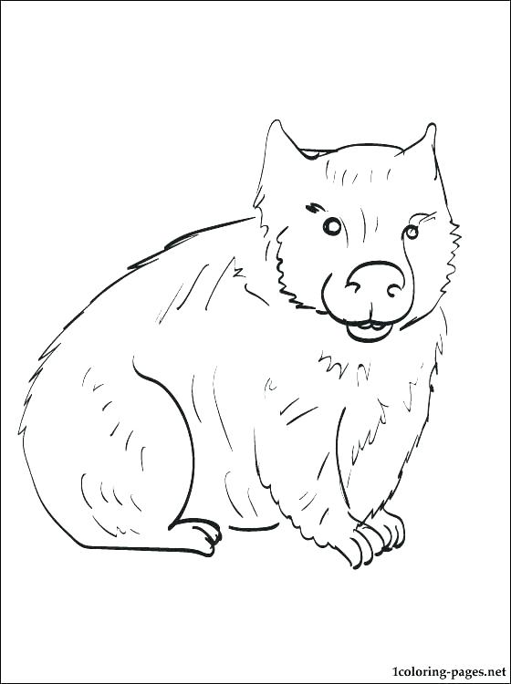 560x750 Coloring Ideas Page 15 Coloring Ideas Pro
