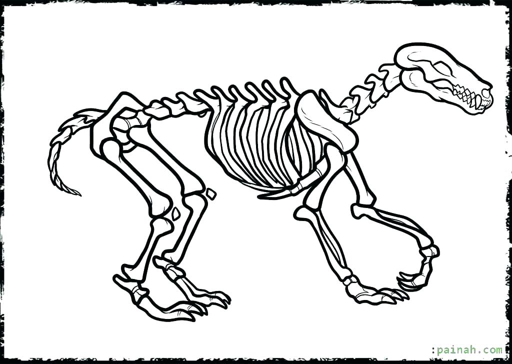 1024x728 Dinosaur Bones Coloring Pages Dinosaur Bones Coloring Page Free