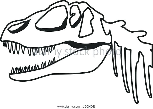 640x458 Dinosaur Fossil Coloring Pages Fossil Coloring Pages Fossil