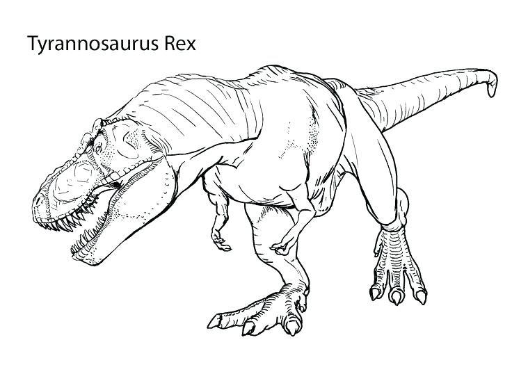 736x525 Fossil Coloring Pages Fossils Coloring Sheet Dinosaur Fossil