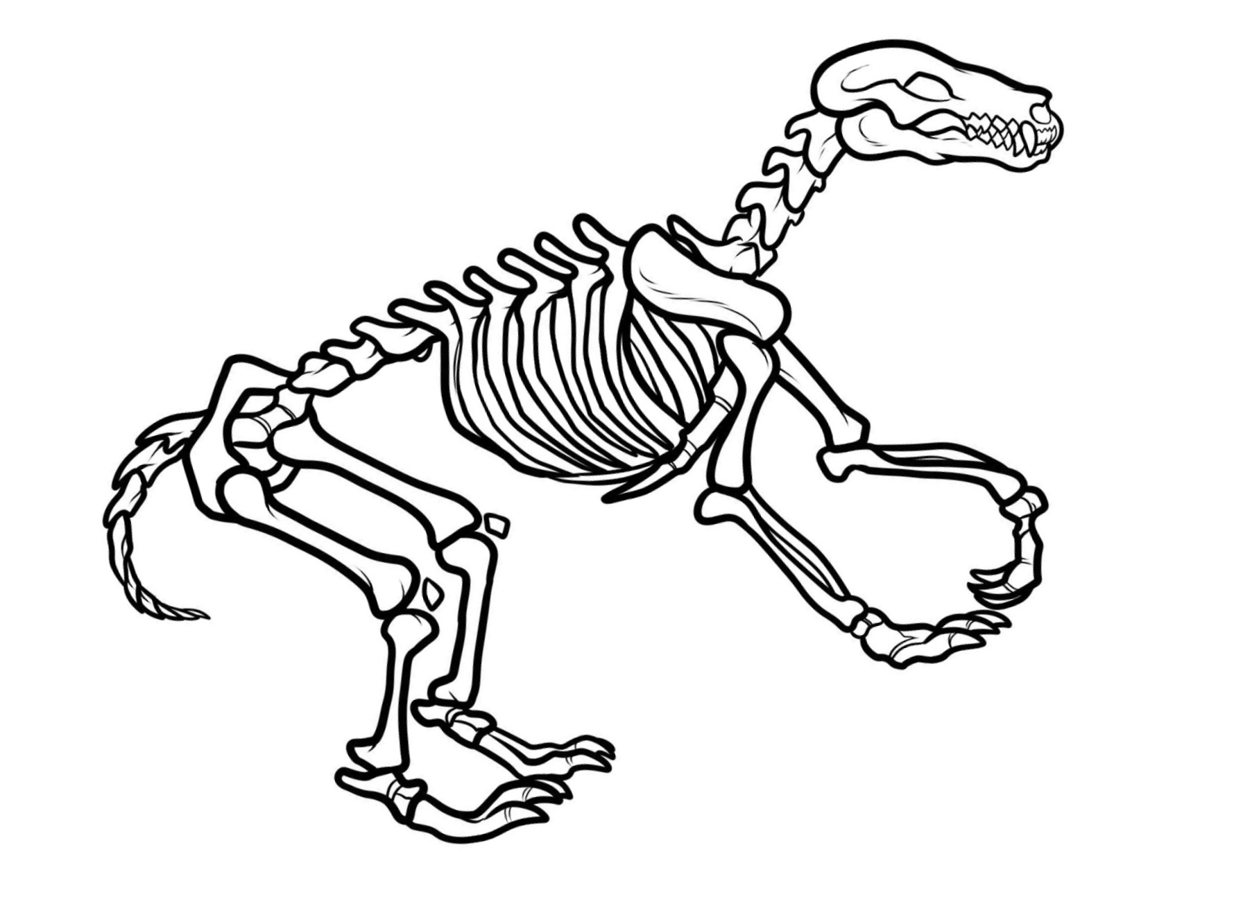 1792x1323 Impressive Dinosaur Bones Coloring Pages Awesome Ideas